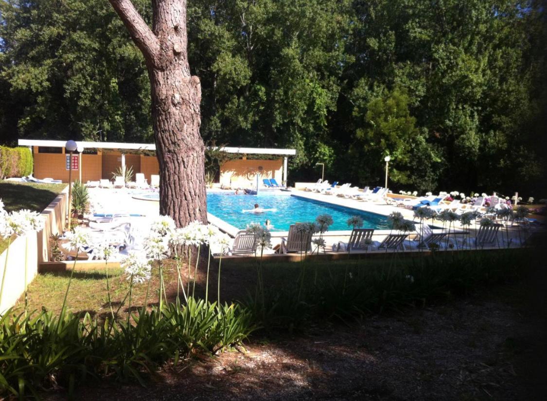 Apartament Francelos
